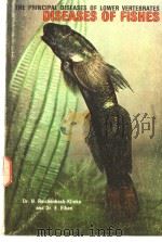 THE PRINCIPAL DISEASES OF LOWER VERTEBRATES BOOK 1 DISEASES OF FISHES     PDF电子版封面    H.REICHENBACK-KLINKE  E.ELKAN 