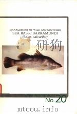 MANAGEMENT OF WILD AND CULTURED SEA BASS/BARRAMUNDI LATES CALCARIFER PDF电子版封面 0949511307 J.W.COPLAND AND D.L.GREY