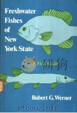 FRESHWATER FISHES OF NEW YORK STATE A FIELD GUIDE PDF电子版封面 0815622228 ROBERT G.WERNER