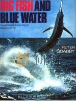 BIG FISH AND BLUE WATER:GAMEFISHING IN THE PACIFIC PDF电子版封面 0207141320 PETER GOADBY