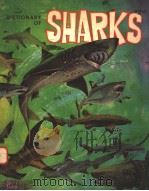 A DICTIONARY OF SHARKS  FIRST EDITION（ PDF版）