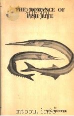 THE ROMANCE OF FISH LIFE（ PDF版）