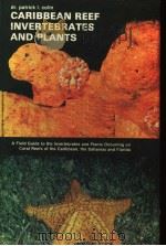 CARIBBEAN REEF INVERTEBRATES AND PLANTS PDF电子版封面 0876664605 PATRICK I.COLIN
