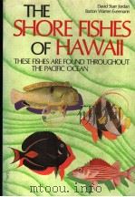 THE SHORE FISHES OF HAWAII:THESE FISHES ARE FOUND THROUGHOUT THE PACIFIC OCEAN PDF电子版封面