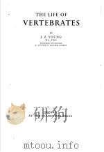 THE LIFE OF VERTEBRATES PDF电子版封面 J.Z.YOUN