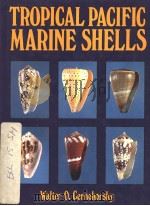 TROPICAL PACIFIC MARINE SHELLS PDF电子版封面 0858070383 WALTER O.CERNOHORSKY