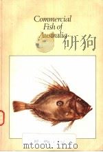 COMMERCIAL FISH OF AUSTRALIA（ PDF版）