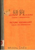 RECNIK U SLIKAMA PICTURE VOCABULARY     PDF电子版封面     
