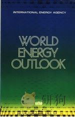 WORLD ENERGY OUTLOOK（ PDF版）