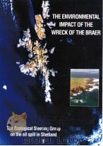 THE ENVIRONMENTAL IMPACT OF THE WRECK OF THE BRAER PDF电子版封面 0748009000 RITCHIE W & O’SULLIVAN M