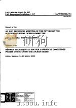 AD HOC TECHNICAL MEETING ON THE FUTURE OF THE SOUTHWEST INDIAN OCEAN COMMITTEE  FAO FISHERIES REPORT（ PDF版）