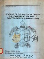 SYNOPSIS OF THE BIOLOGICAL DATA ON THE LOGGERHEAD SEA TURTLE CARETTA CARETTEA（LINNAEUS 1758）（ PDF版）