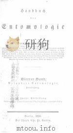 HANDBUCH DER ENTOMOLOGIE BD.4(2) PDF电子版封面