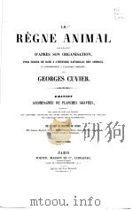 LE REGNE ANIMAL LES ANNELIDES PDF电子版封面