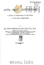 THE INTERNATIONAL SCIENTIFIC SERIES VOL.40 PDF电子版封面