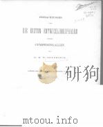 BEOBACHTUNGEN UBER DIE ERSTEN ENTWICKLUNGSPHASEN EINIGER CYNIPIDENGALLEN PDF电子版封面 DR.M.W.BEYERINCK