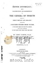 BRITISH ENTOMOLOGY VOL.2 PDF电子版封面 JOHN CURTIS