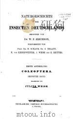 NATURGESCHICHTE DER INSECTEN DEUTSCHLANDS 6 1893 PDF电子版封面