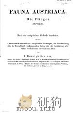FAUNA AUSTRIACA DIE FLIEGEN 2A（ PDF版）