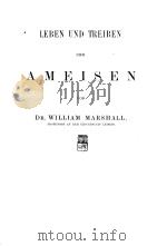 LEBEN UND TREIBEN DER AMEISEN VON DR WILLIAM MARSHALL PDF电子版封面