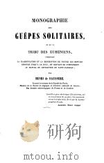 MONOGRAPHIE DES GUEPES SOLITAIRES OU DE LA TRIBU DES EUMENIENS（ PDF版）
