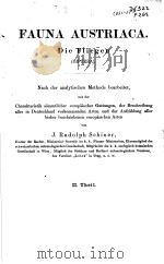 FAUNA AUSTRIACA DIE FLIEGEN (DIPTERA)  VOL.2（ PDF版）