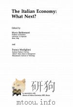 THE ITALIAN ECONOMY:WHAT NEXT? PDF电子版封面 0312124759