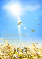 THE UPAS TREE   1912  PDF电子版封面     