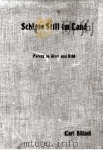 SCHOSS STILL IM LAND 1910 PDF电子版封面 CARL HOLZEL