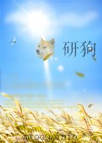 THEODOSIANI LIBRI XVI VOL. 2 PDF电子版封面 PAVLVS M. MEYER