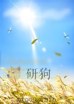 VECTOR ANALYSIS     PDF电子版封面    C. RUNGE 