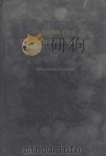 ABRISS DER DAUERMAGNETKUNDE 1949 PDF电子版封面 JOHANNES FISCHER