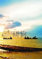 Chinatown and Transnationalism Ethnic Chinese in Europe and Southeast Asia 1998 PDF电子版封面 0909524440