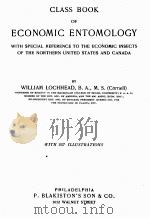 CLASS BOOK OF ECONOMIC ENTOMOLOGY 1919 PDF电子版封面