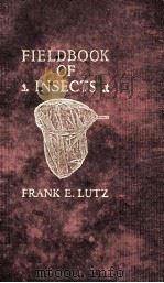 FIELD BOOK OF INSECTS（ PDF版）