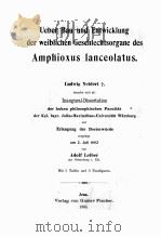 UEBER BAU UND ENTWICKLUNG DER WEIBLICHEN GESCHLECHTSORGANE DES AMPHIOXUS LANCEOLATUS 1903 PDF电子版封面