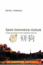 Sport-Commerce-Culture Essays on sport in late Capitalist america PDF电子版封面 082047438X