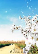 Hole's Essentials of Human Anatomy and Physiology  Laboratory Manual  eighth edition     PDF电子版封面  0072351209  TERRY R.MARTIN 