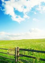 Essentials of Team Building Principles and Practices（ PDF版）