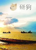 Rarefied Gas Dynamics:Experimental Techniques and Physical Systems PDF电子版封面 1563470799