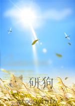 Liquid Propellant Gun Technology Volume 175 PROGRESS IN ASTRONAUTICS AND AERONAUTICS（ PDF版）
