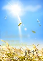 Collection of papers of the 23rd israel Annual Conference on Aviation and Astronautics（ PDF版）
