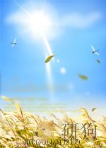 JANNAF HANDBOOK ROCKET EXHAUST PLUME TECHNOLOGY CHAPTER 3 ROCKET EXHAUST PLUME RADIATION（ PDF版）