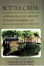 BOTTLE CREEK A PENSACOLA CULTURE SITE IN SOUTH ALABMA PDF电子版封面 081731220X LAN W.BROWN著