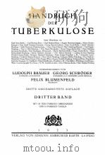 HANDBUCH DER TUBERKULOSE DRITTER BAND 1923 PDF电子版封面