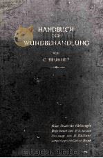 HANDBUCH DER WUNDBEHANDLUNG 1916 PDF电子版封面