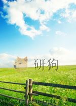 TOPICS IN SEVERAL COMPLEX VARIABLES     PDF电子版封面  0273086561  E RAMIREZ DE ARELLANO & D SUND 