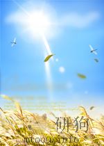 THE FINANCIAL POST DIRECTORY OF DERECTORS 1990 PDF电子版封面 0888962355
