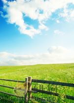 THE OFFICIAL GUIDE TO U.S.LAW SCHOOLS（ PDF版）