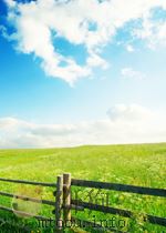 BASIC WRITING：PROCESS AND PRODUCT CASES AND READINGS（ PDF版）